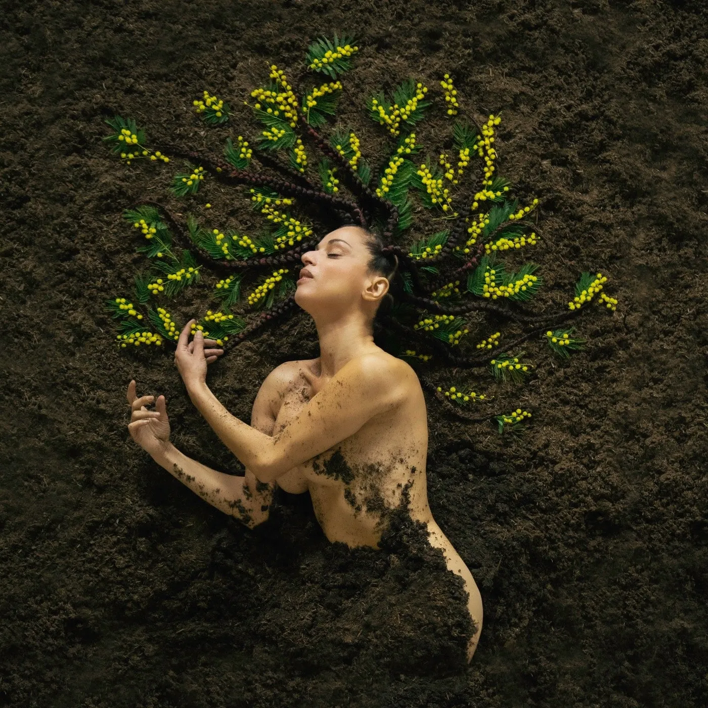 MAUVAISE GRAINE - SISKA (CD)
