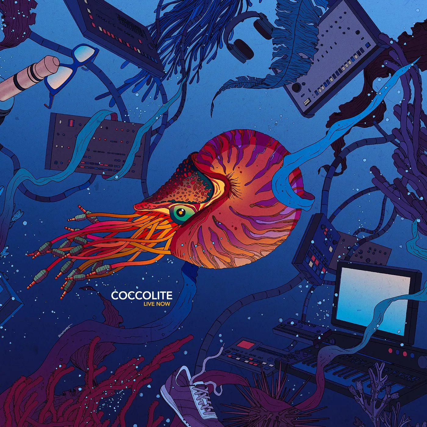 COCCOLITE Live Now- (CD)