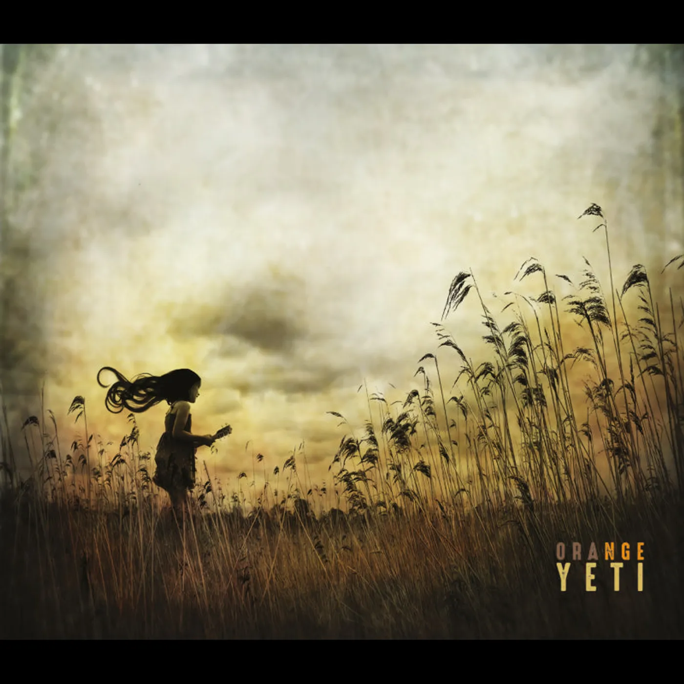 ORANGE YETI - ORANGE YETI (33T) (Vinyl)