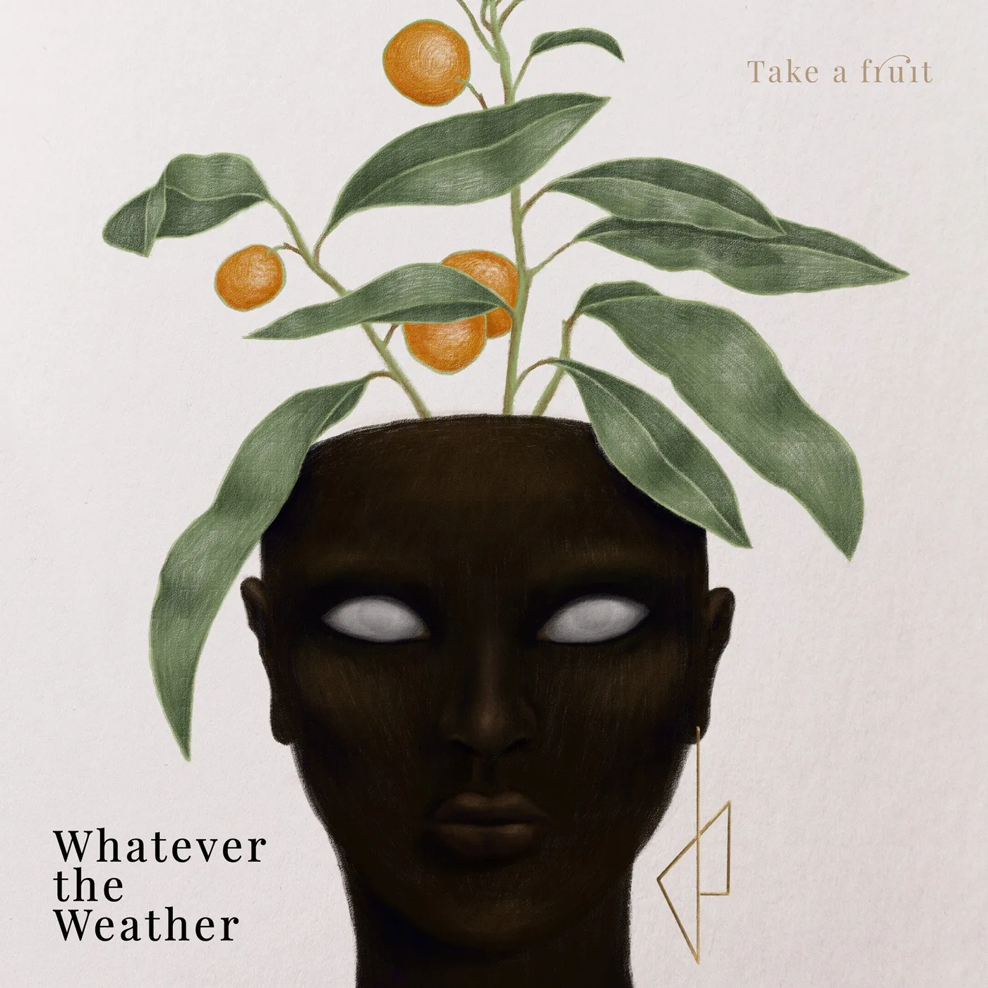 TAKE A FRUIT - WHATEVER THE WEATHER (CD)