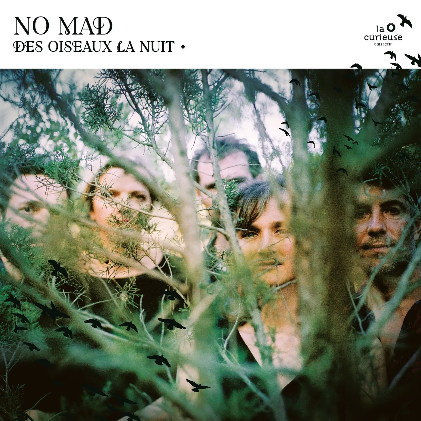 No mad? DES OISEAUX LA NUIT - NO MAD (CD)