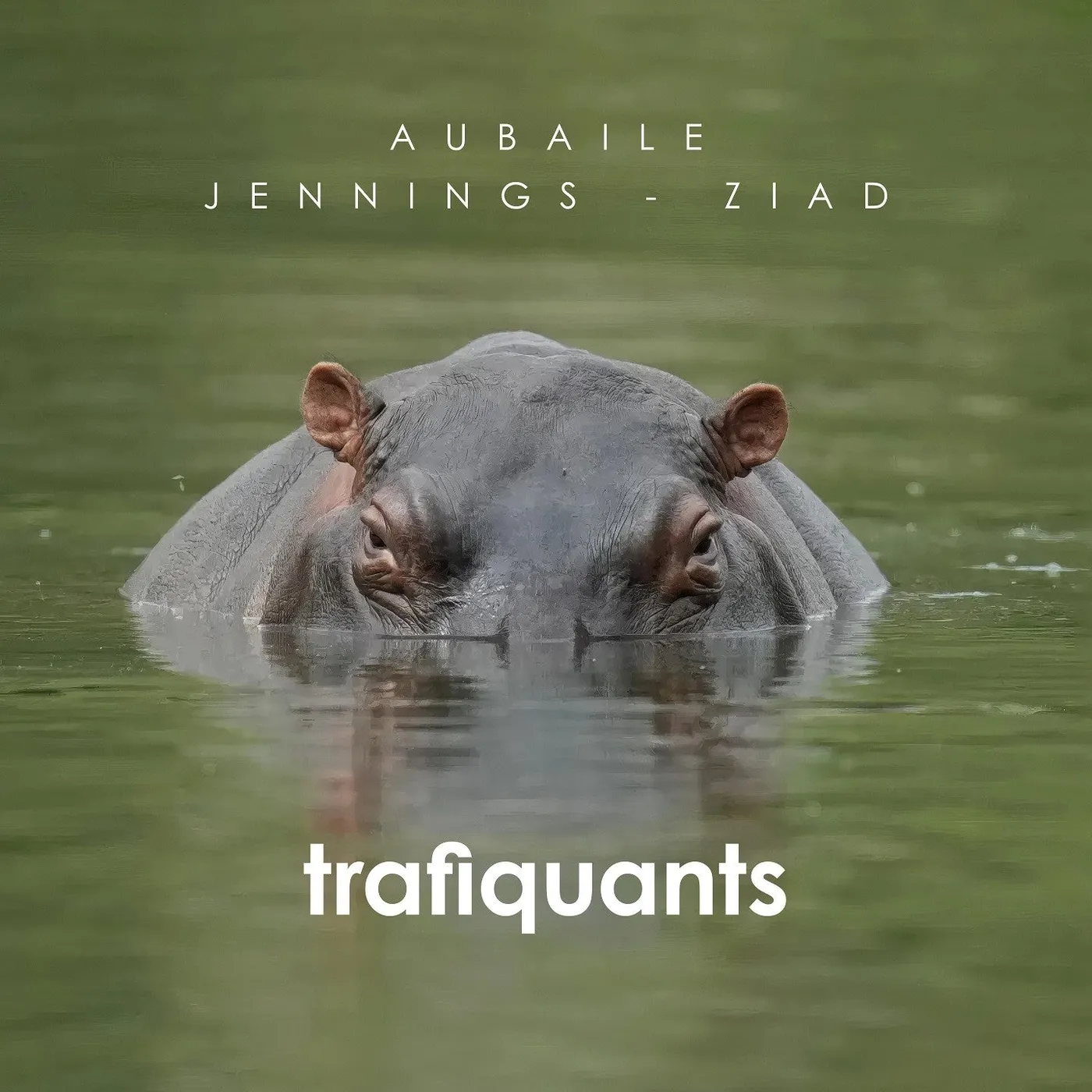 TRAFIQUANTS - DAVID AUBAILE (CD)