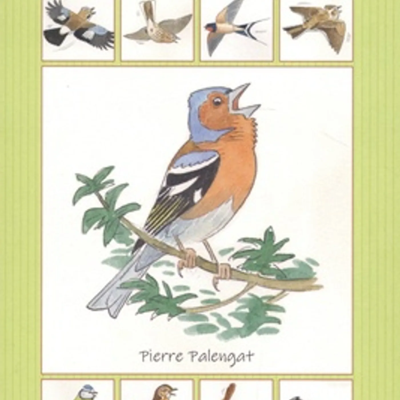 ABC DES CHANTS D'OISEAUX - STUDIO LES TROIS BECS (LIVRE CD)