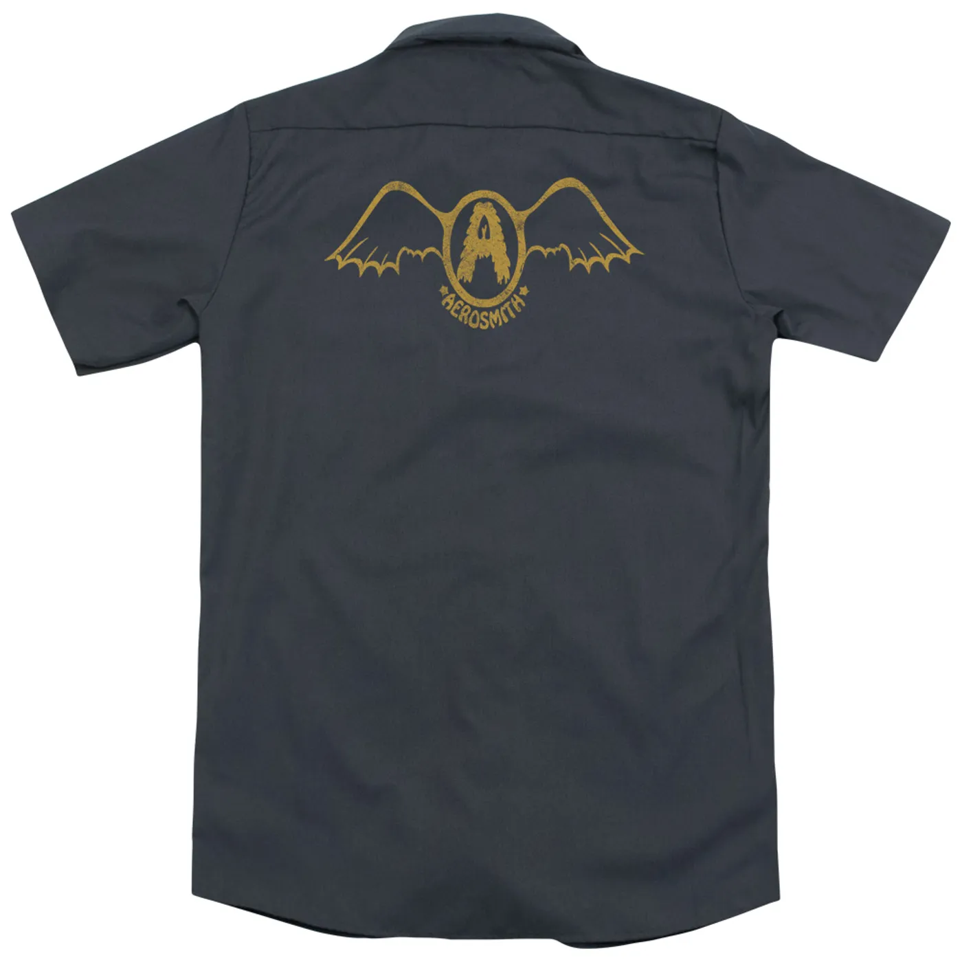 Aerosmith RETRO LOGO(BACK PRINT)
