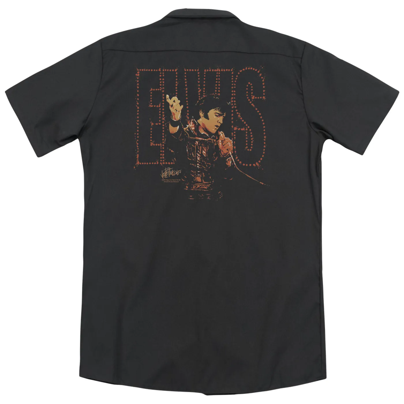 Elvis Presley TAKE MY HAND (BACK PRINT)