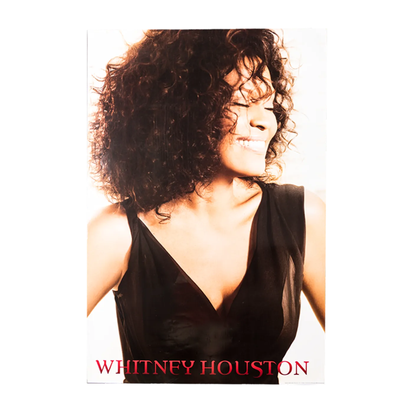 Whitney Houston Poster
