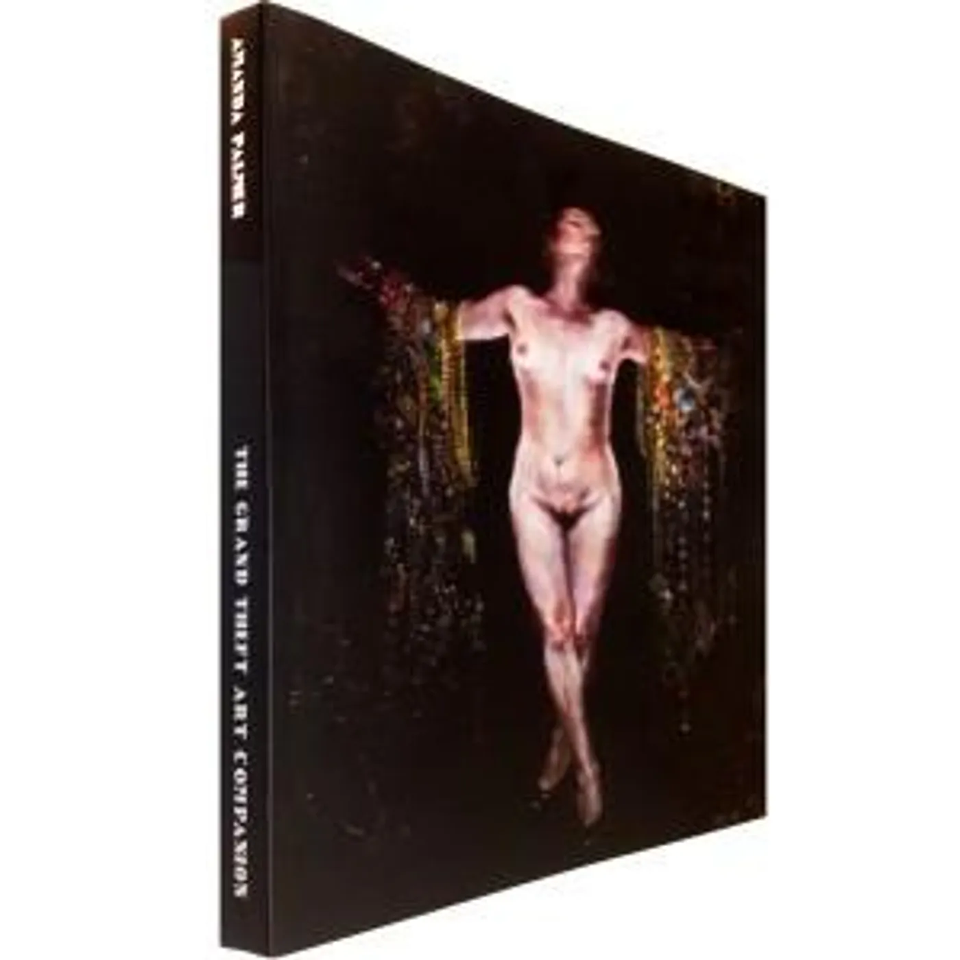 Amanda Palmer The Grand Theft Art Companion Book