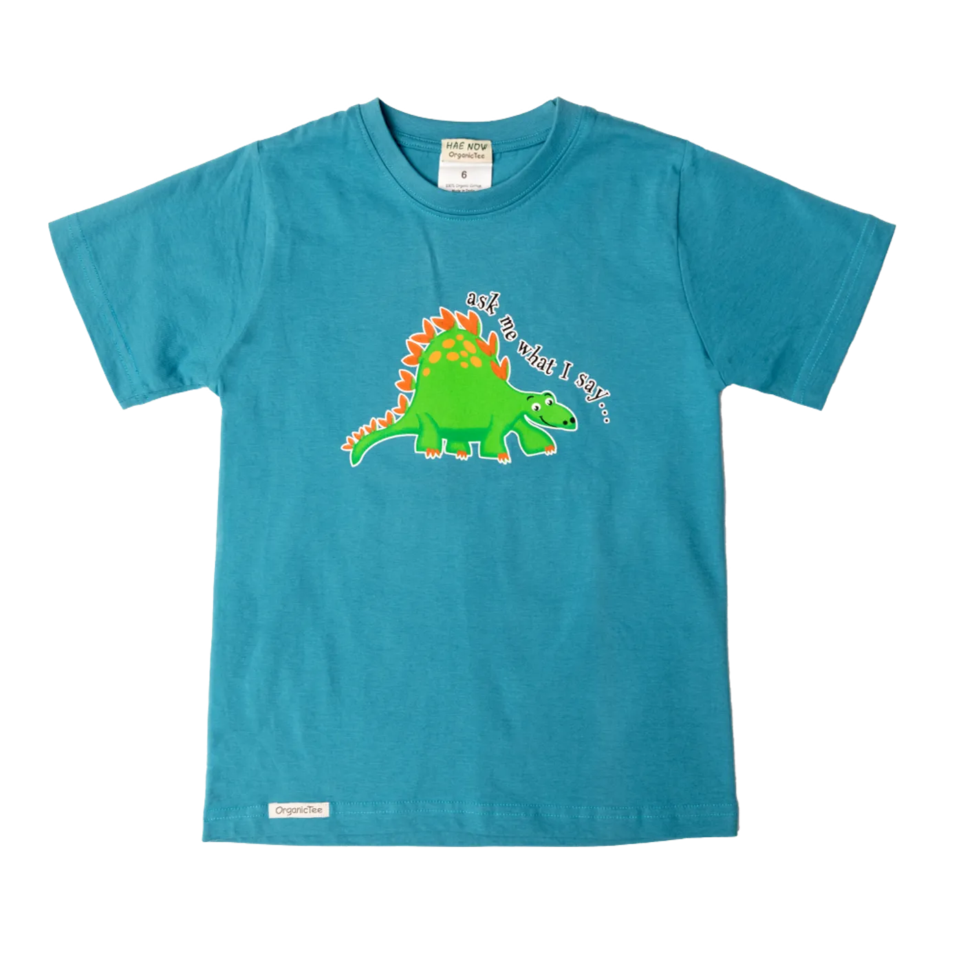 Laurie Berkner Ask Me What I Say . . . Youth T-Shirt (Blue)
