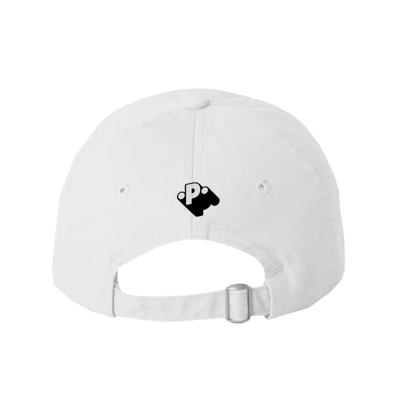PUBLIC Dad Hat