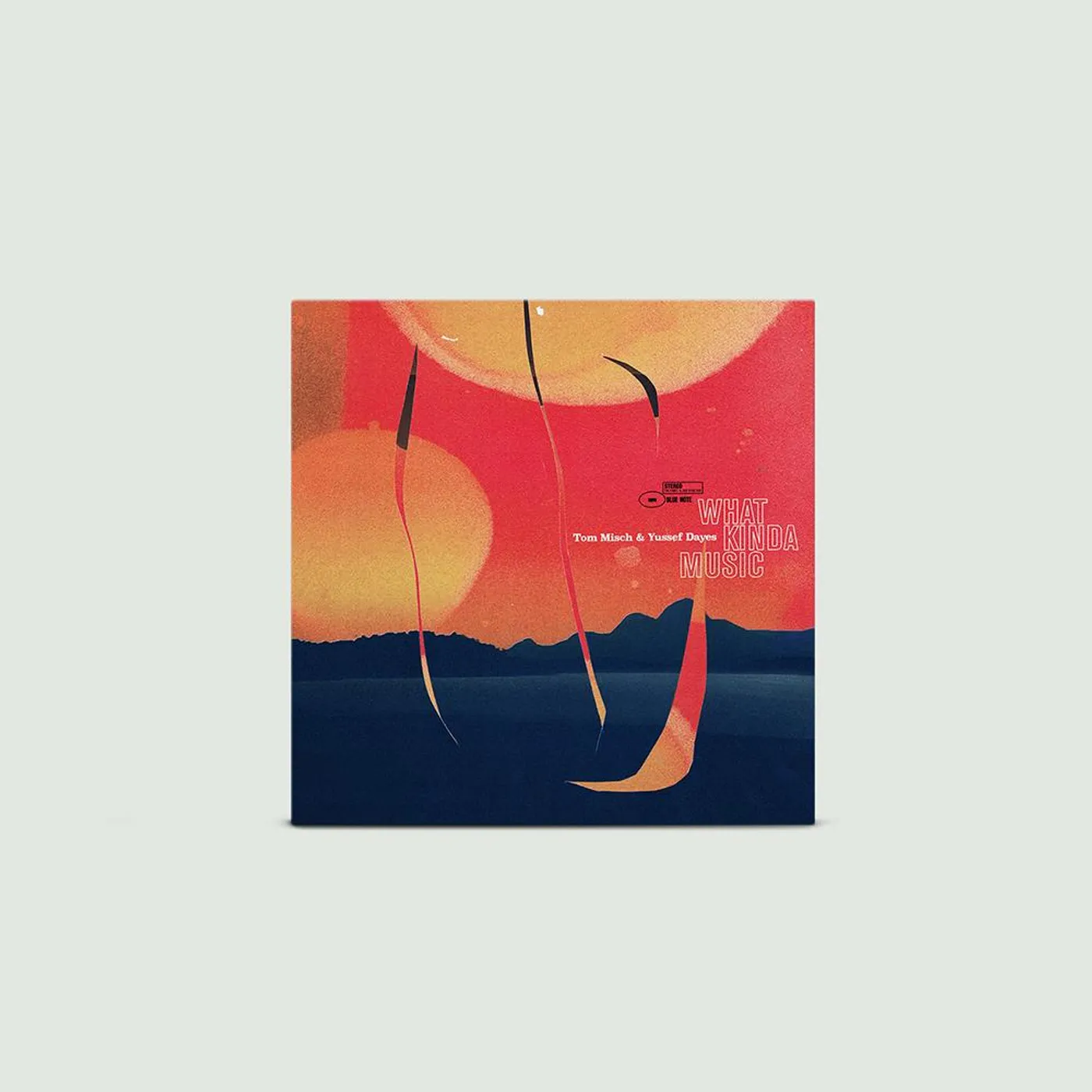Tom Misch What Kinda Music Digital Album