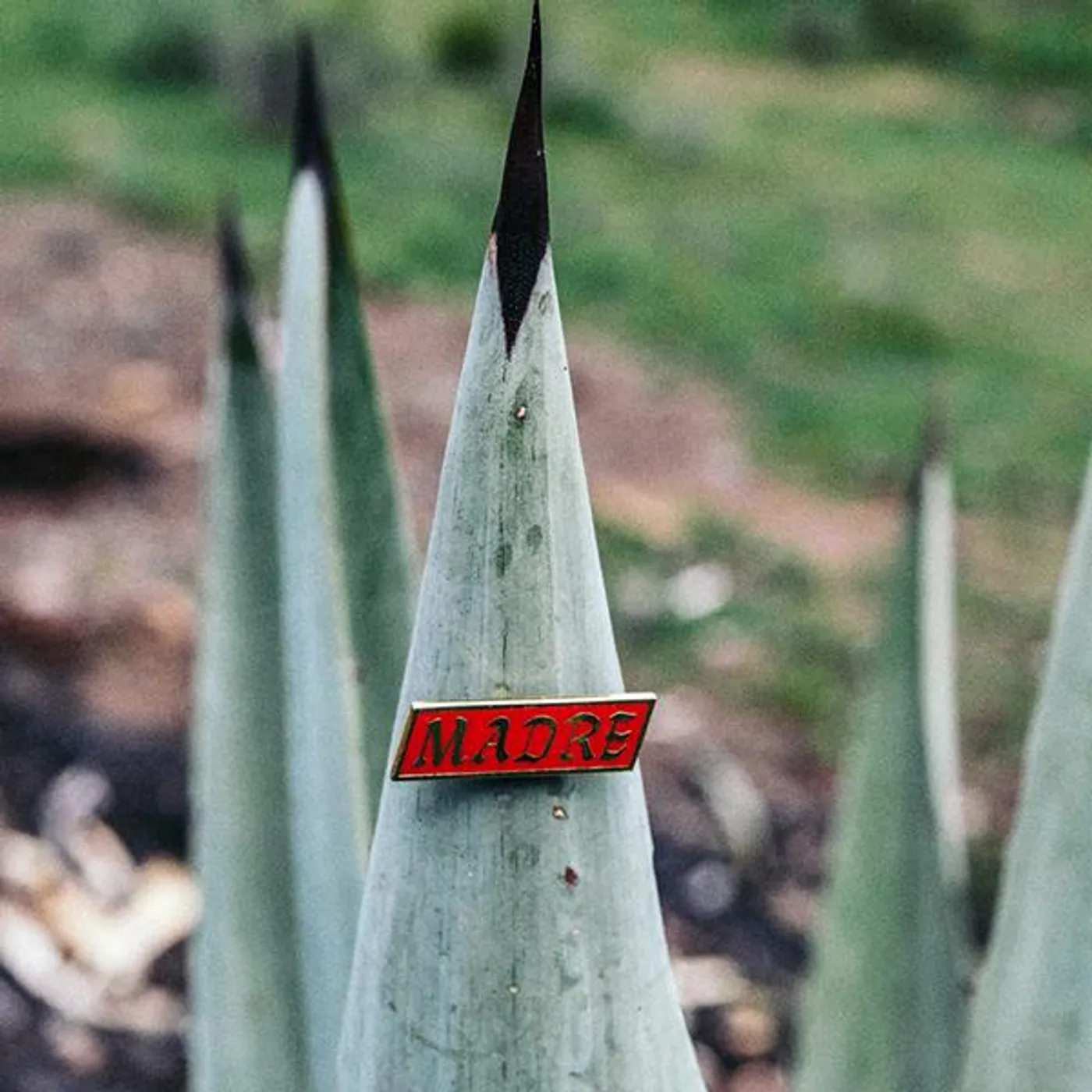 Madre Mezcal Madre Pin - Madre Zag