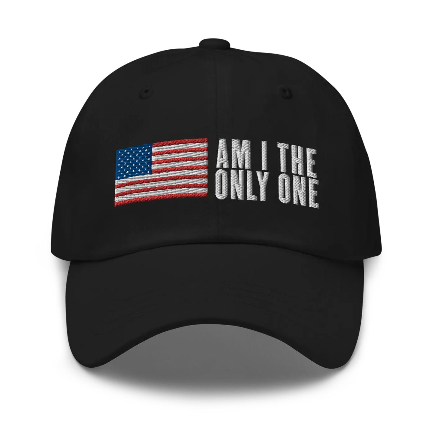 Aaron Lewis Am I The Only One Dad Hat