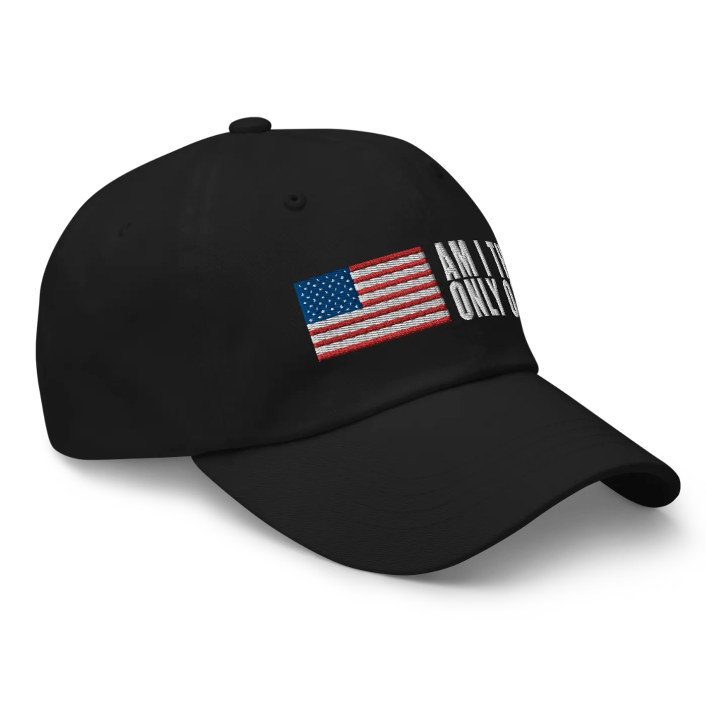 Aaron Lewis Am I The Only One Dad Hat