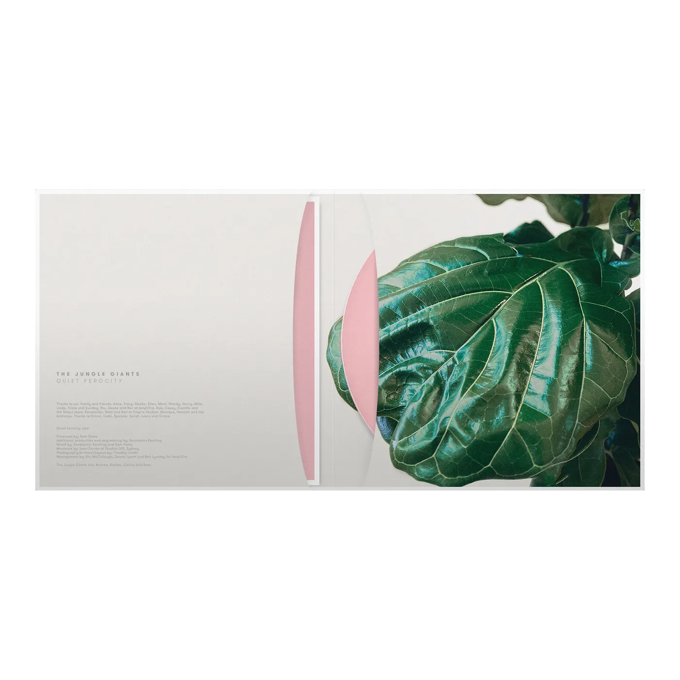 The Jungle Giants - Quiet Ferocity CD