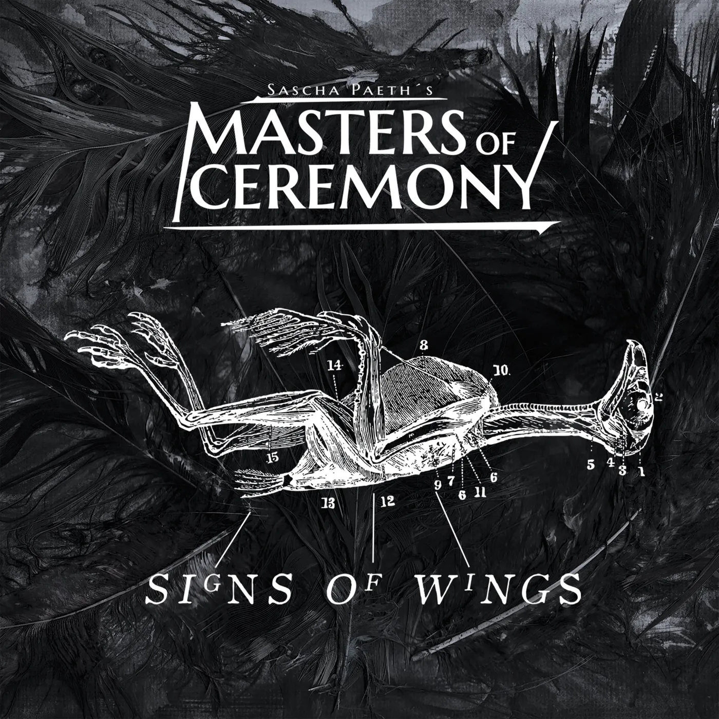 Frontiers Sascha Paeth’s Masters Of Ceremony - Signs Of Wings White Vinyl l