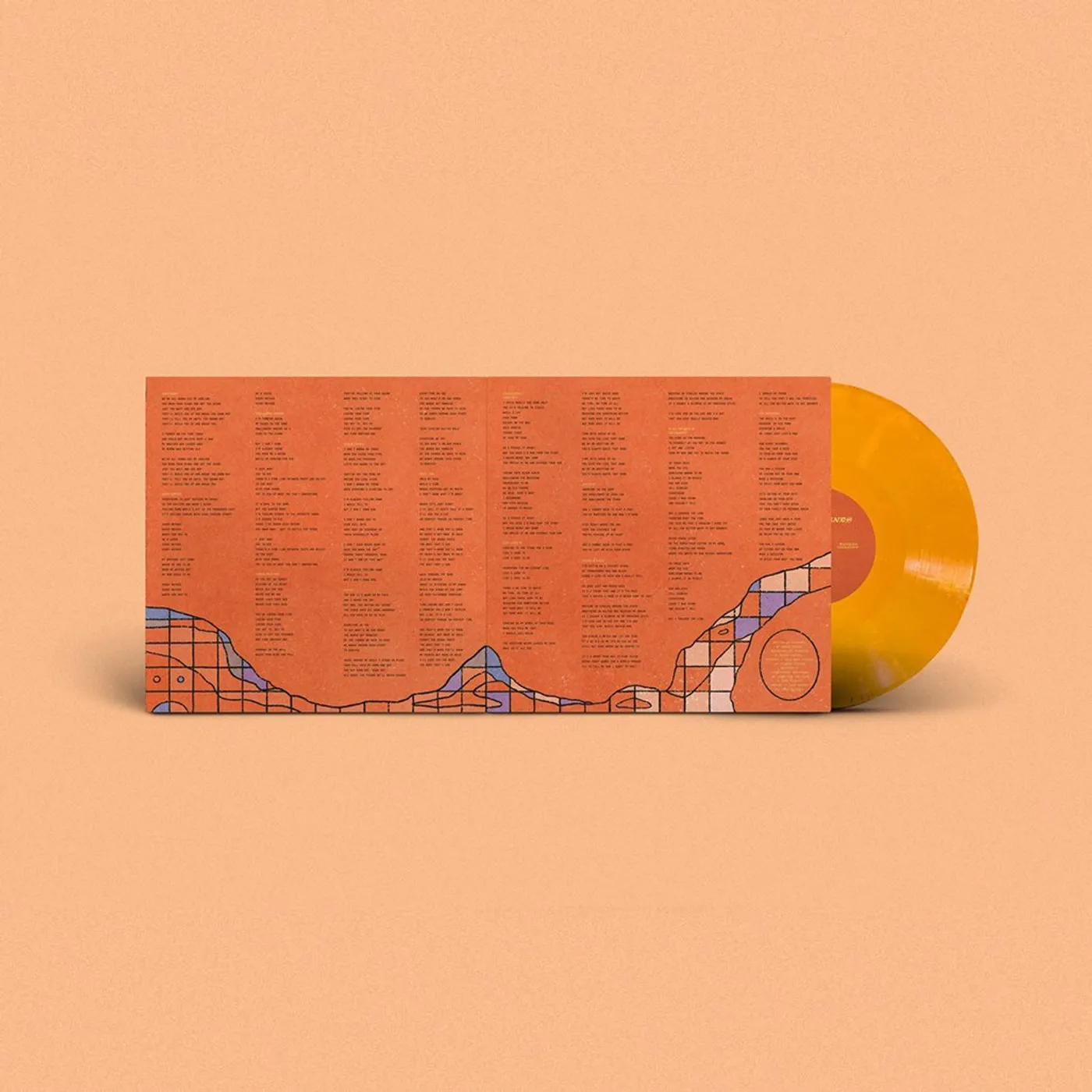 Duncan Fellows - The Sadlands Vinyl