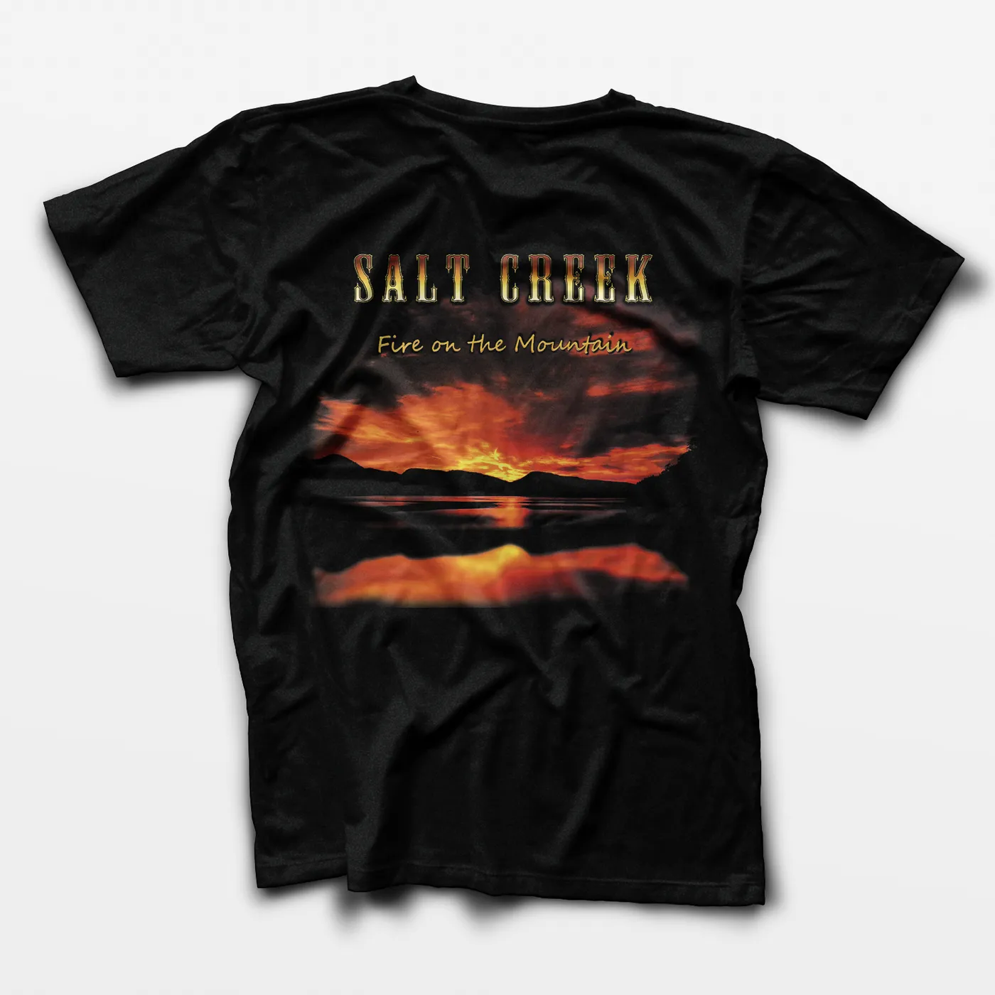 Salt Creek Bluegrass Band - Logo Tee