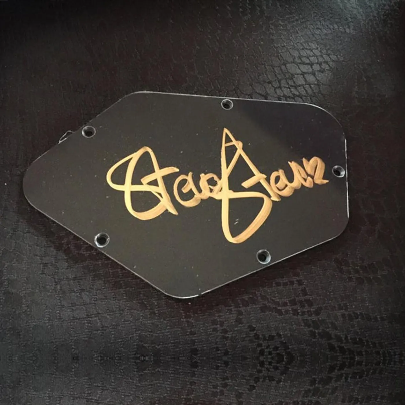 Steve Stevens - Signed Knaggs Backplate