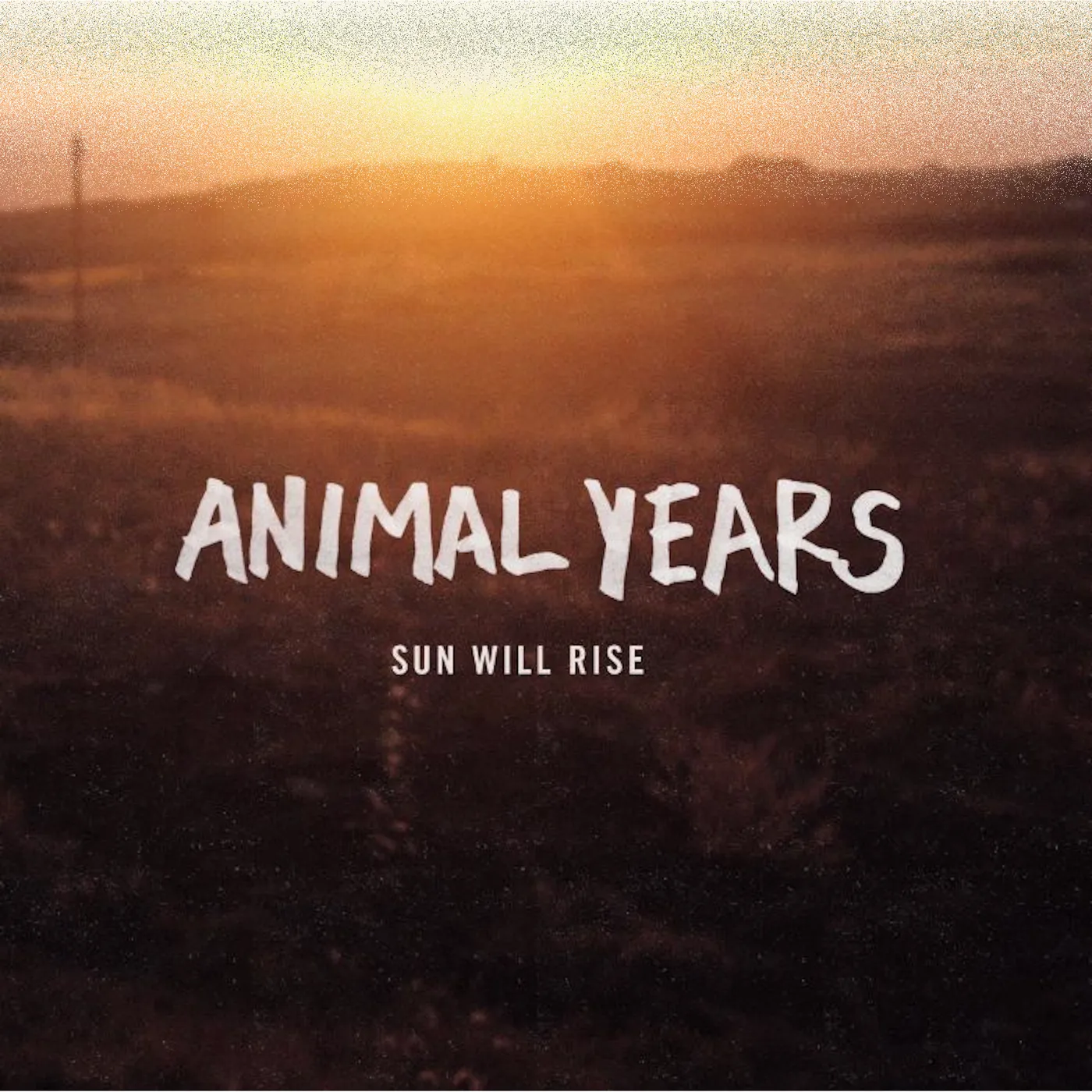 Animal Years - Sun Will Rise CD