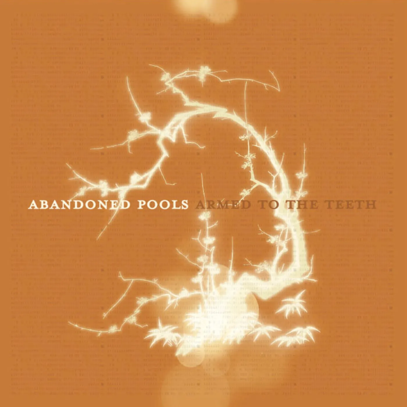 Abandoned Pools - Armed To The Teeth CD