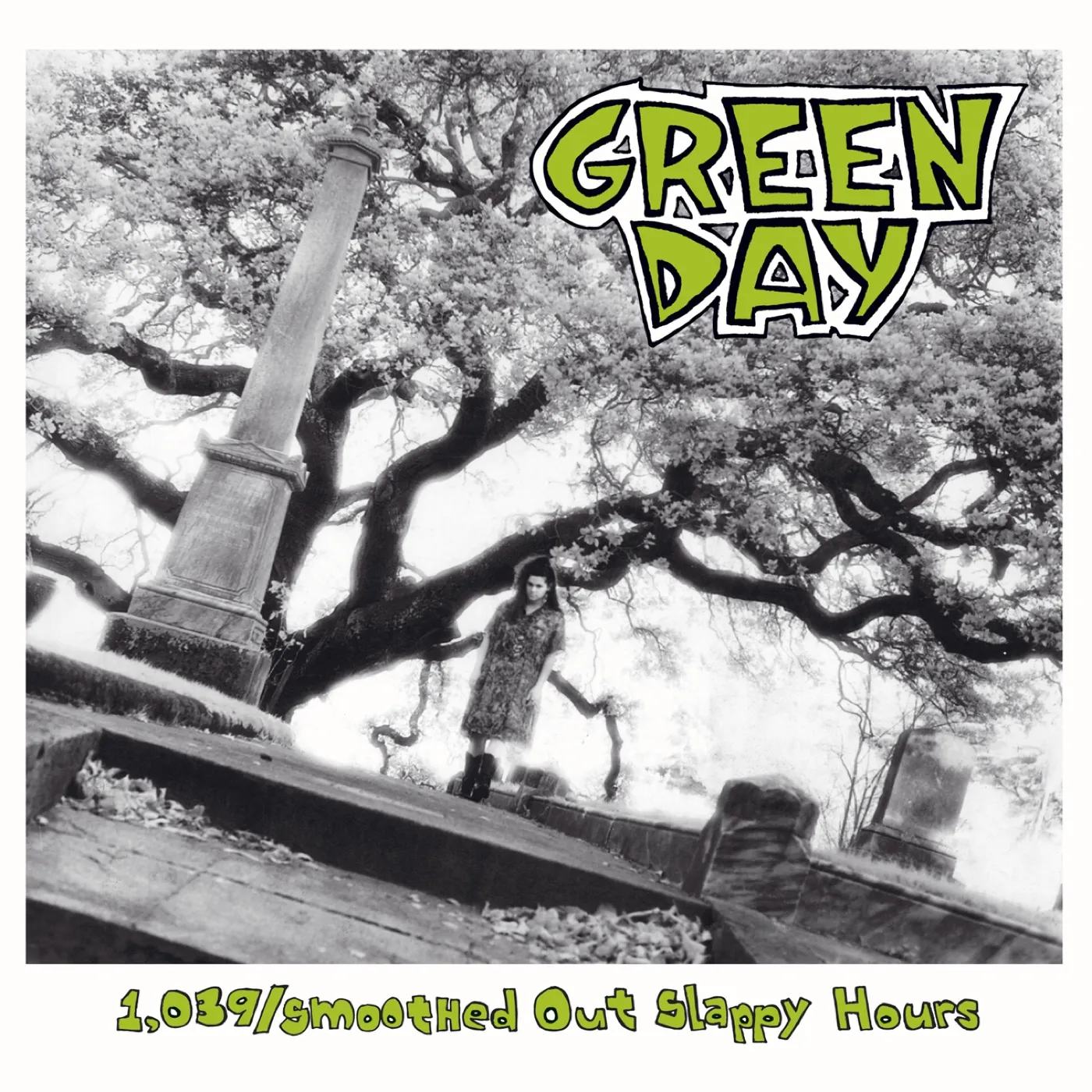 Green Day 1,039/Smoothed Out Slappy Hours (Jewel Case)