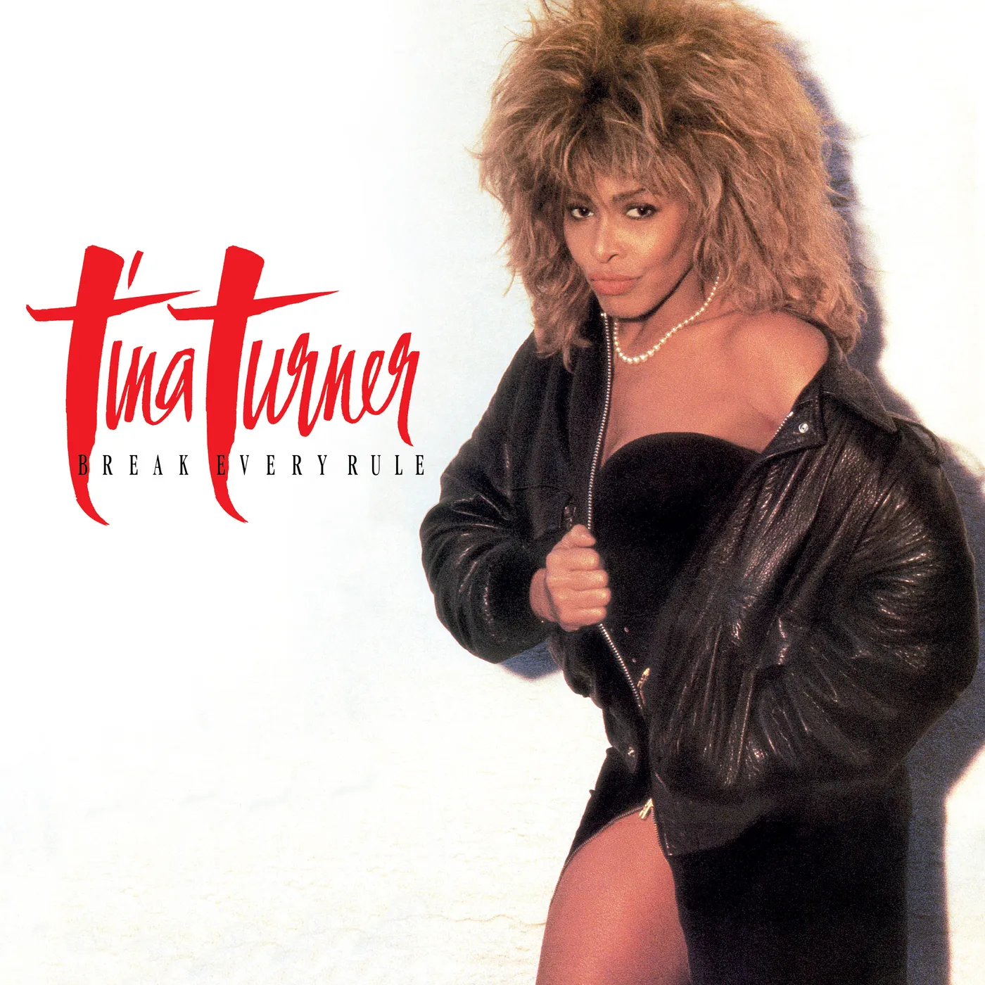 Tina Turner  Break Every Rule (LP) (Vinyl)