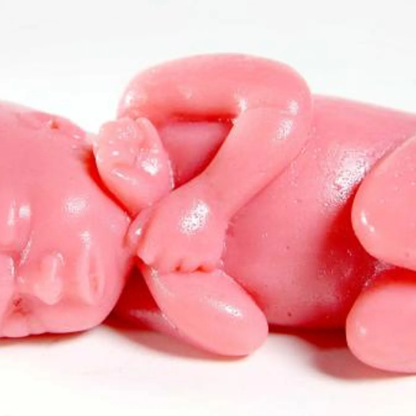The Flaming Lips Gummy Fetus