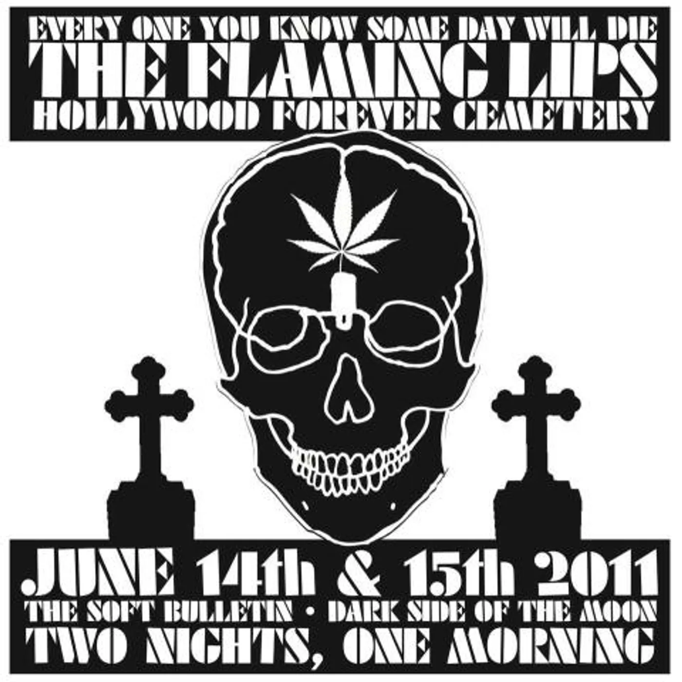 The Flaming Lips The Hollywood Cemetery Skull
