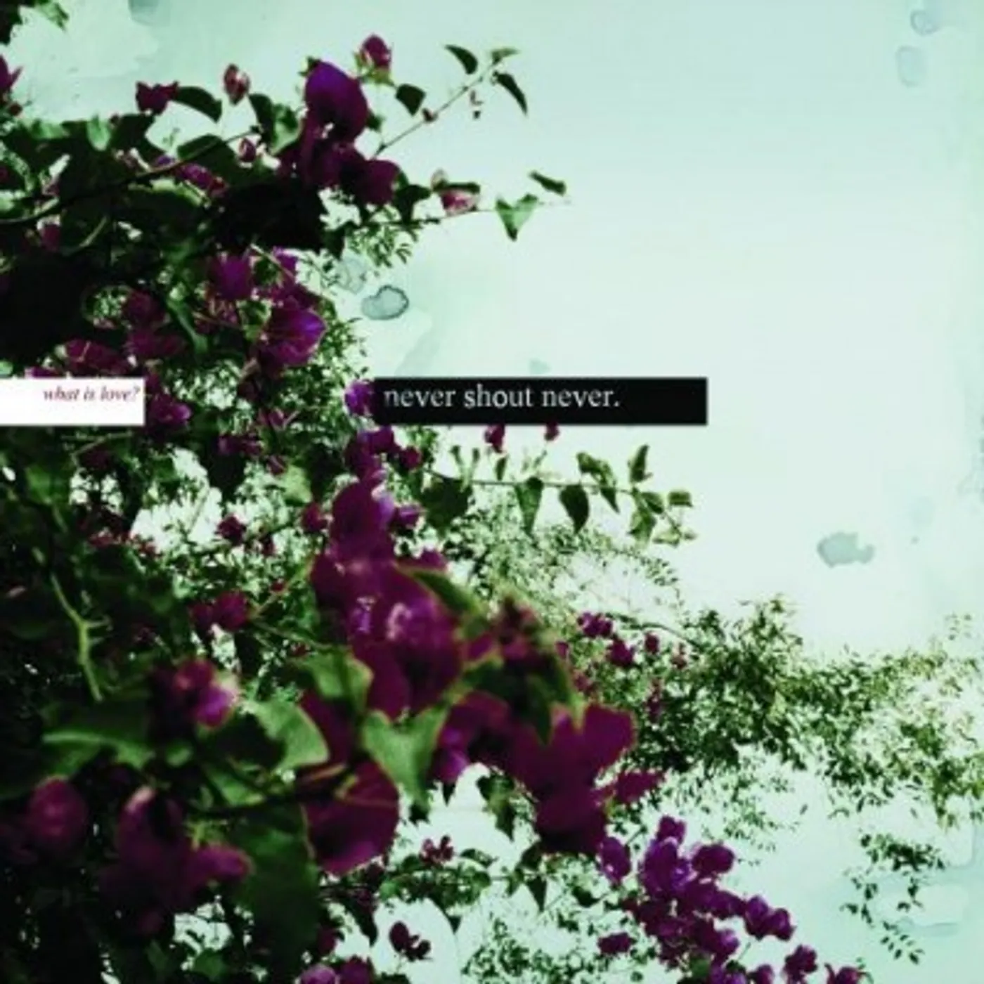 Never Shout Never "What Is Love?" CD (Clean)