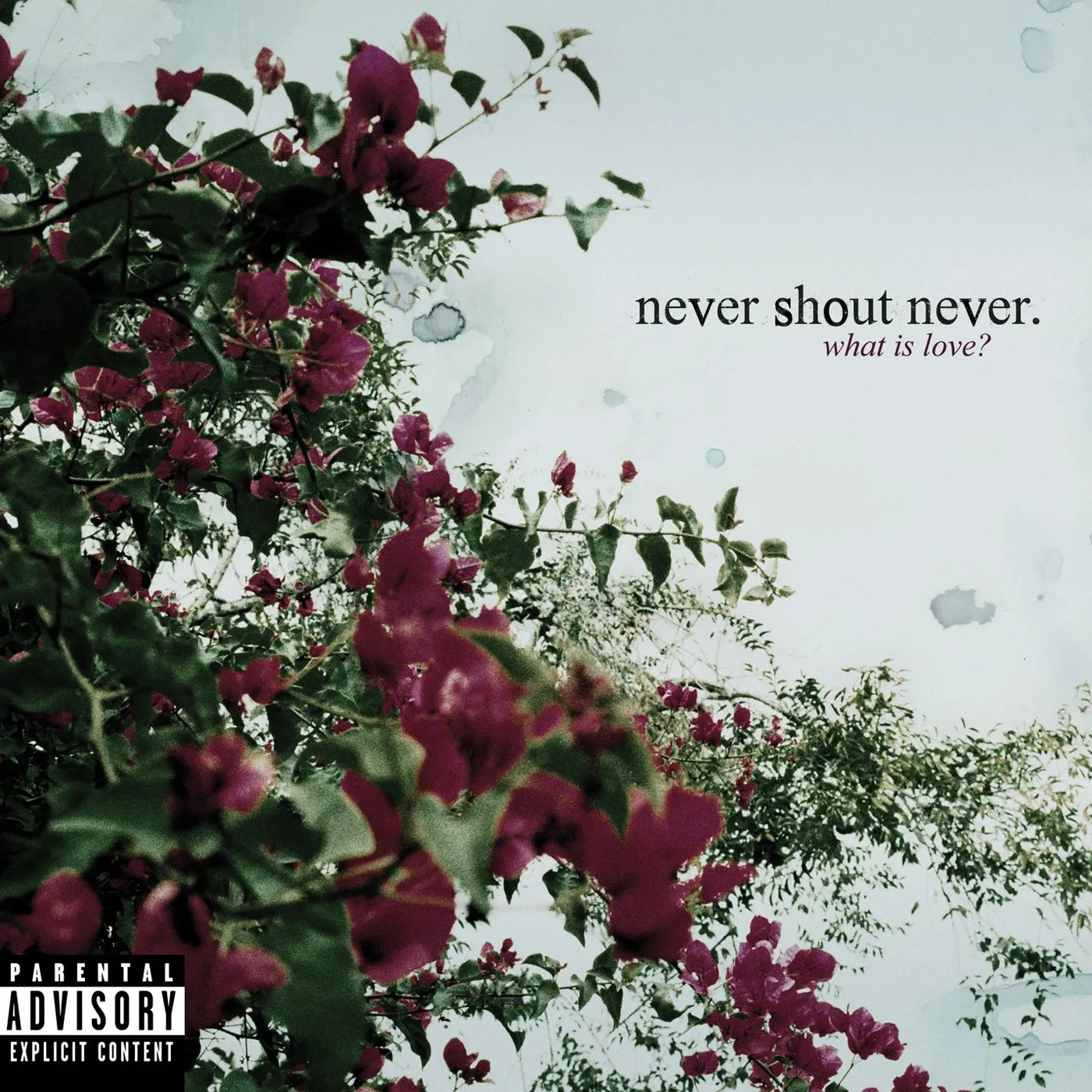 Never Shout Never "What Is Love?" CD