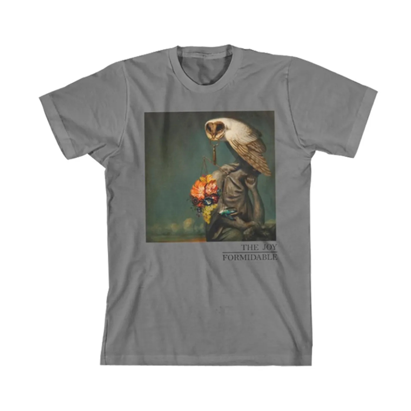 The Joy Formidable Owl Key Slim Fit T-Shirt
