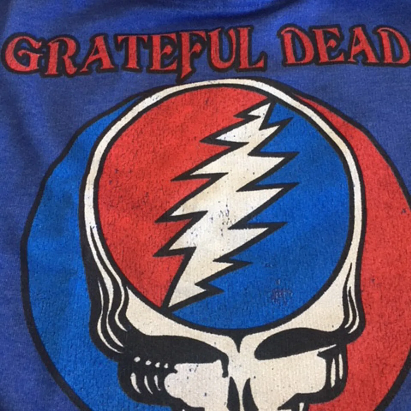 Grateful Dead GD SYF Toddler Hoodie