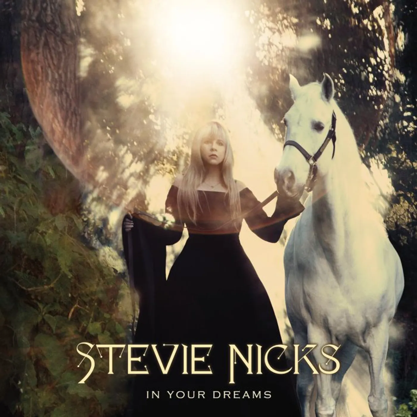 Stevie Nicks In Your Dreams CD