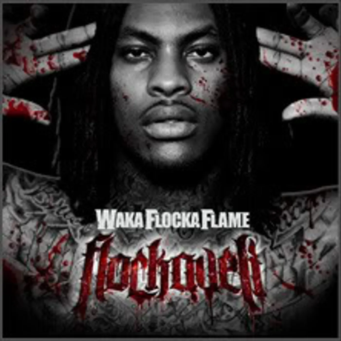 Waka Flocka Flame Flockaveli (CD)