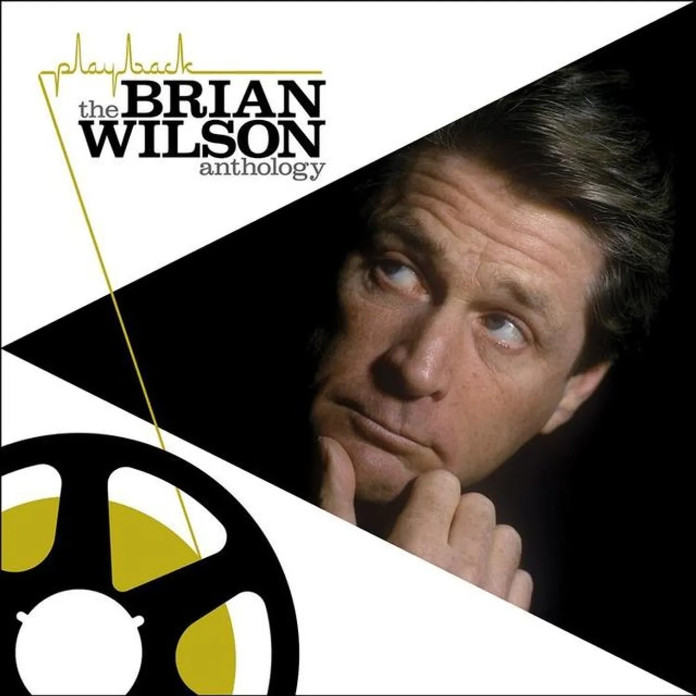 Playback: The Brian Wilson Anthology 2 LP (Vinyl)