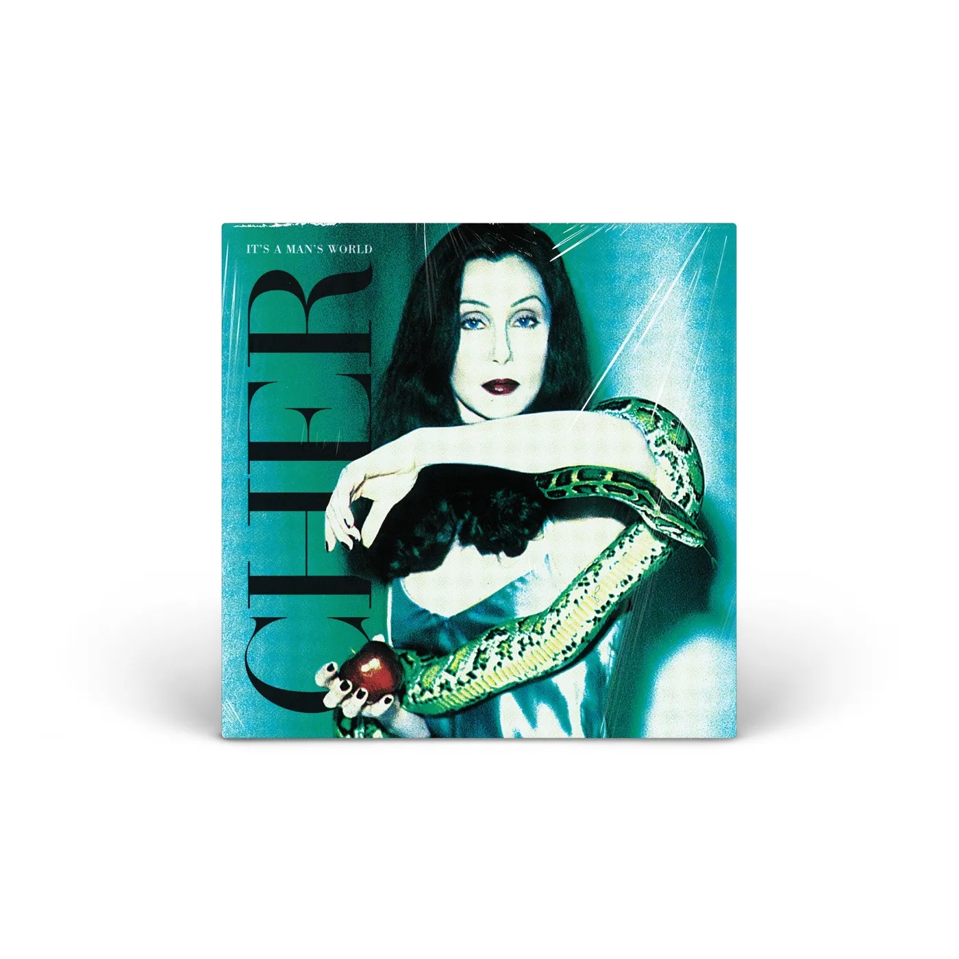 Cher It's a Man's World vinyl 2LP