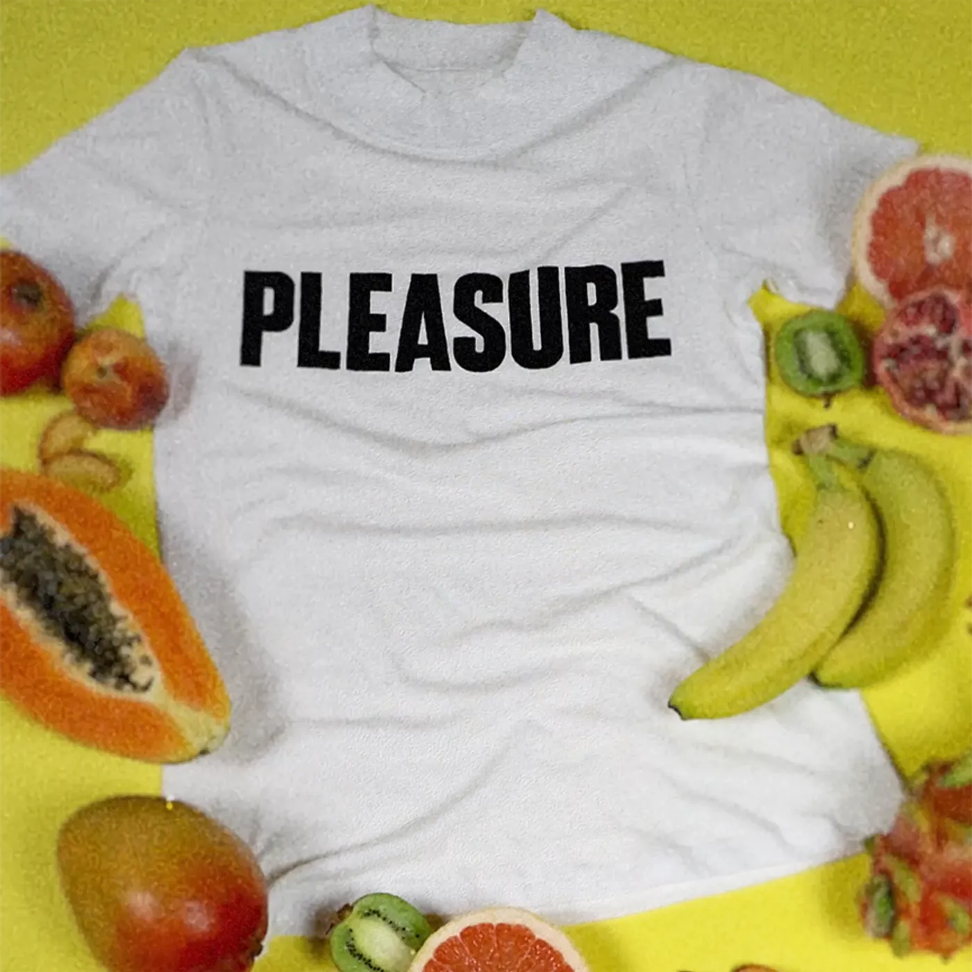 Janelle Monáe Pleasure T-shirt
