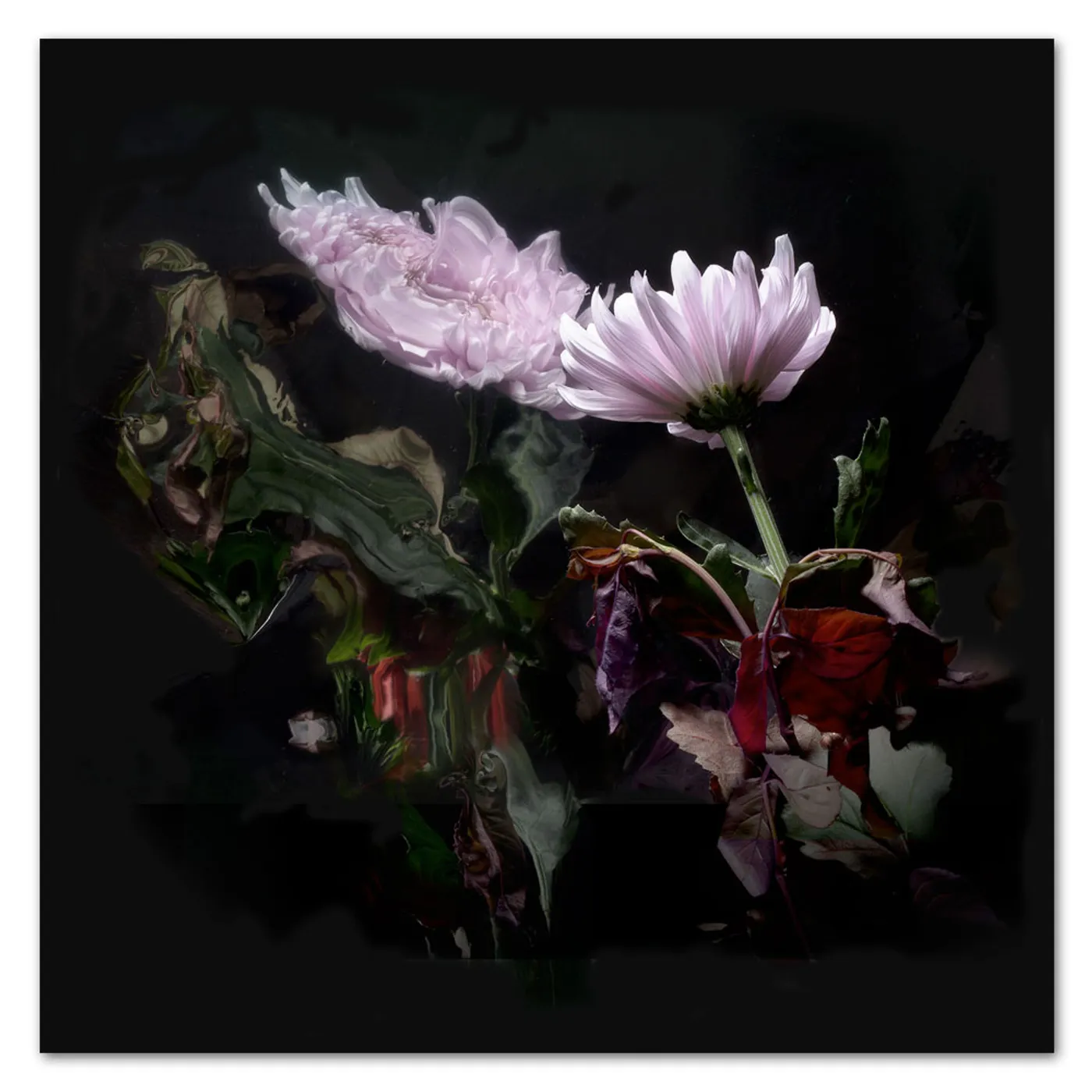 Lo Moon Loveless Vinyl LP