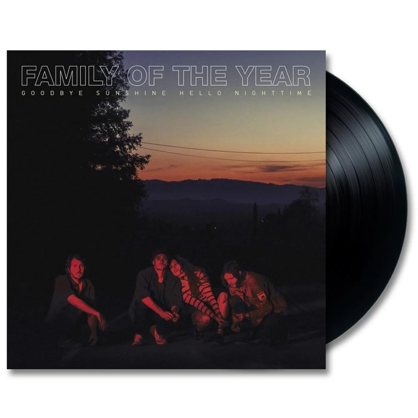 Family of the Year Goodbye Sunshine, Hello Nighttime Vinyl LP