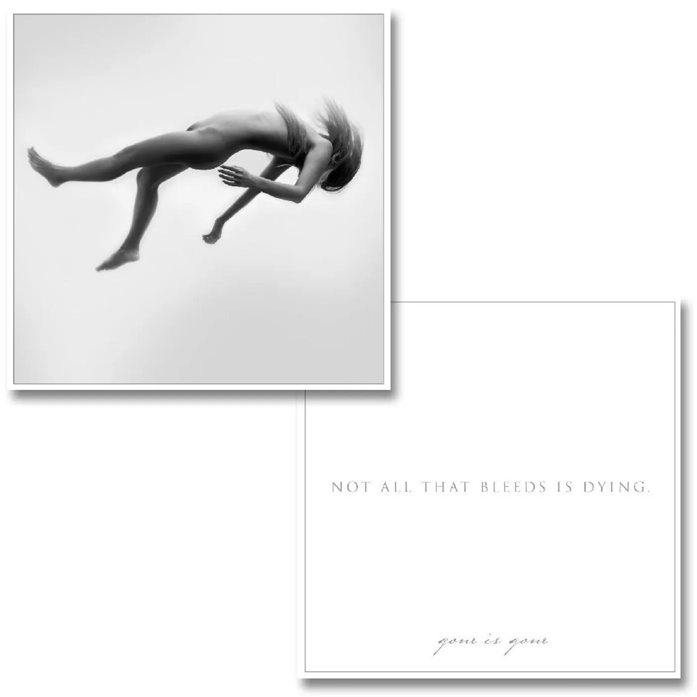 Gone Is Gone Bleeds Print