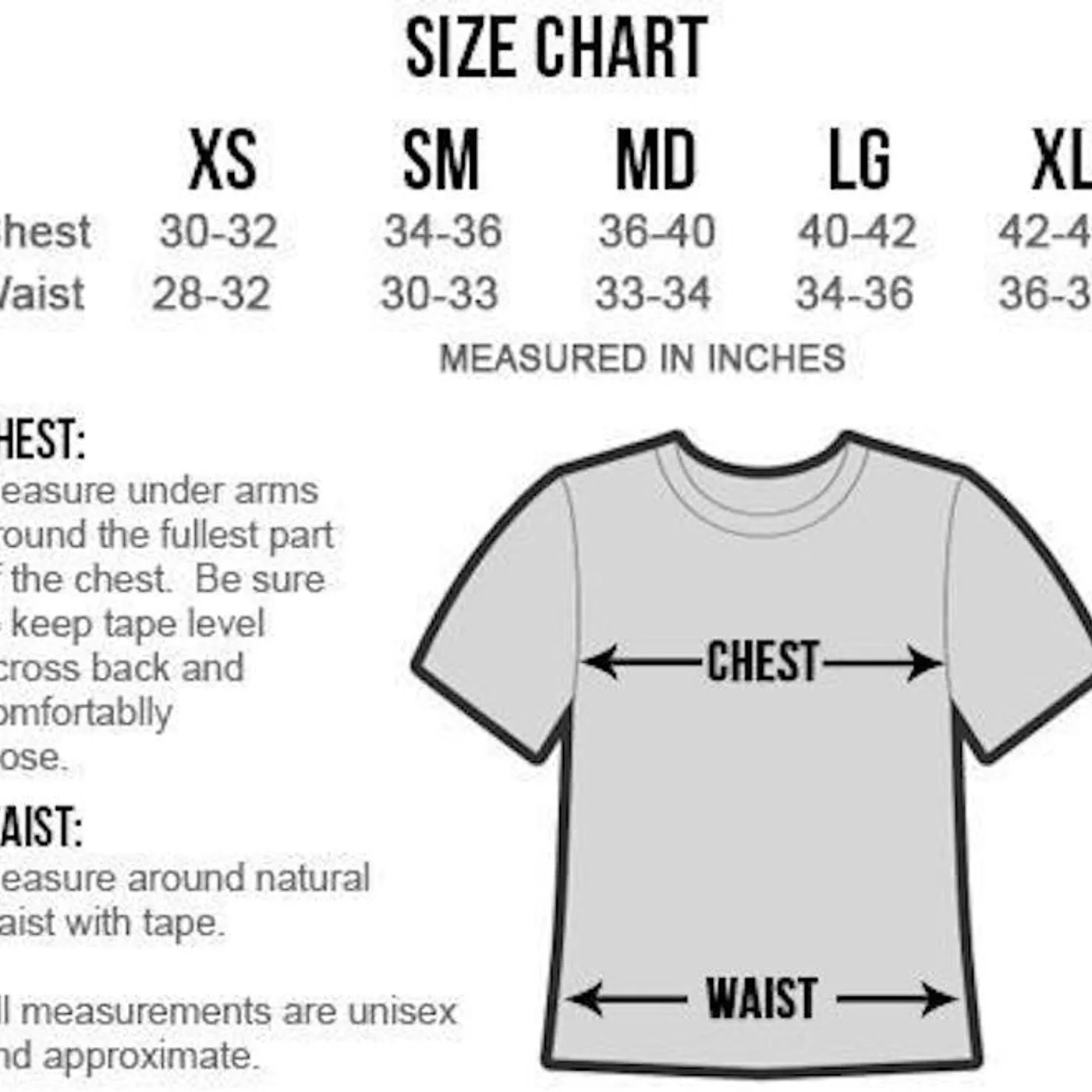 Little Comets Logo (Shirt)