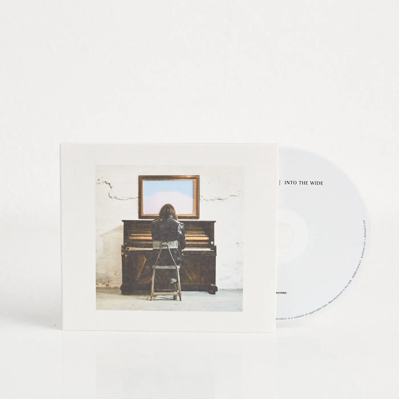 Delta Spirit Into The Wide (CD)