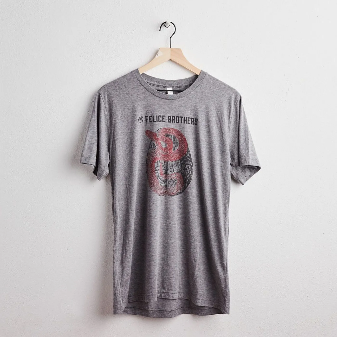 The Felice Brothers Snake/Brain (Shirt)