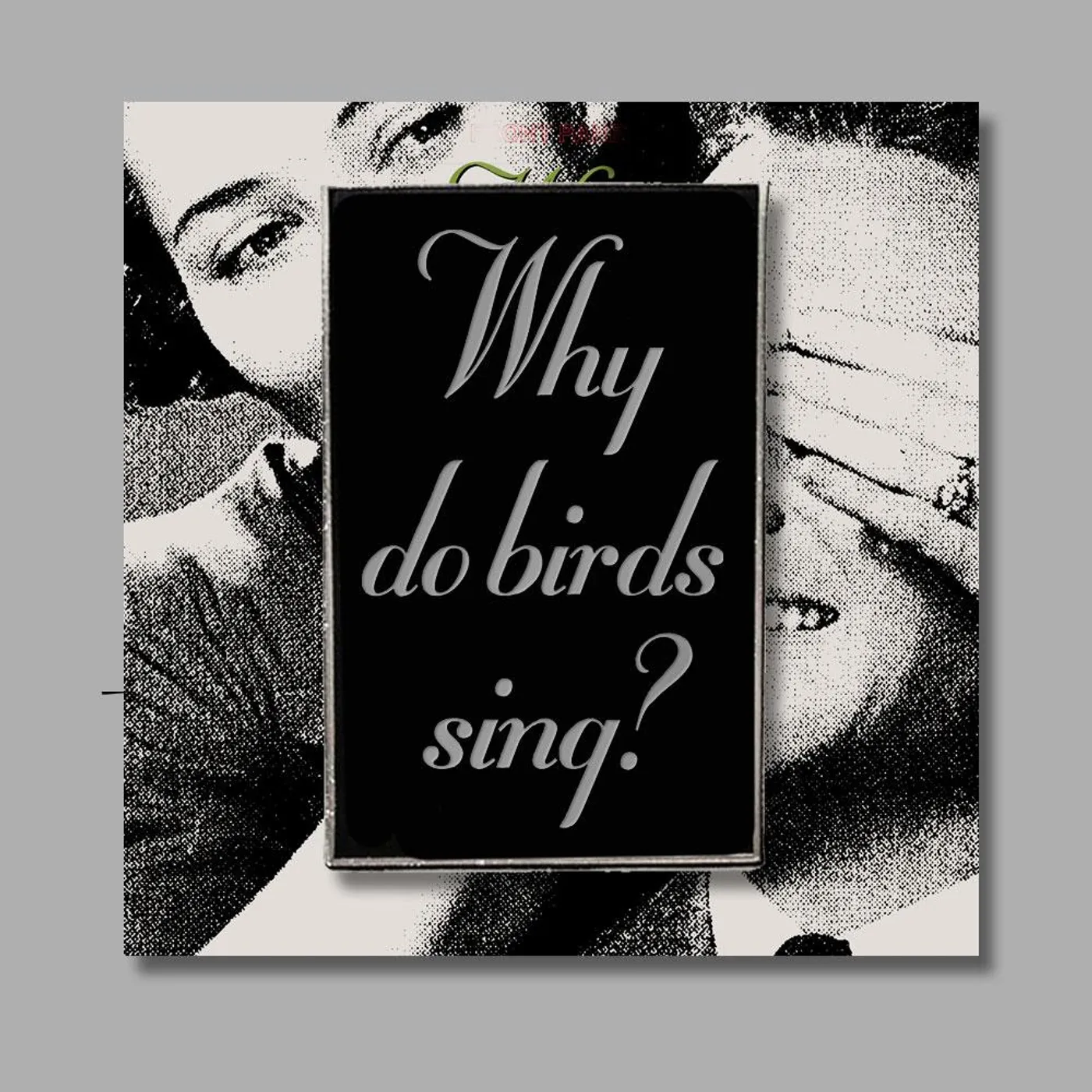 Violent Femmes Why Do Birds Sing? Enamel Pin