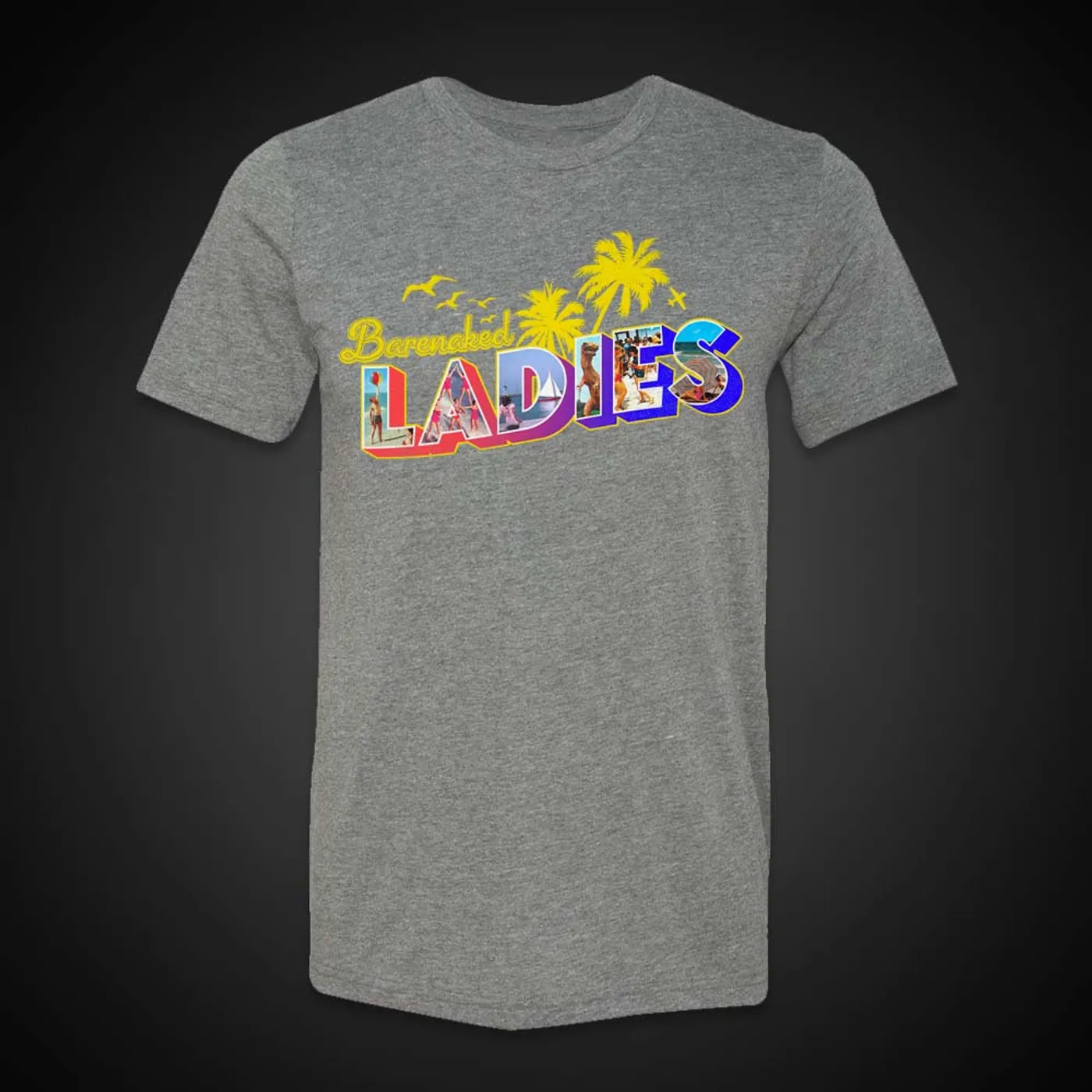 Barenaked Ladies BNL SummerScape Logo Grey Tee