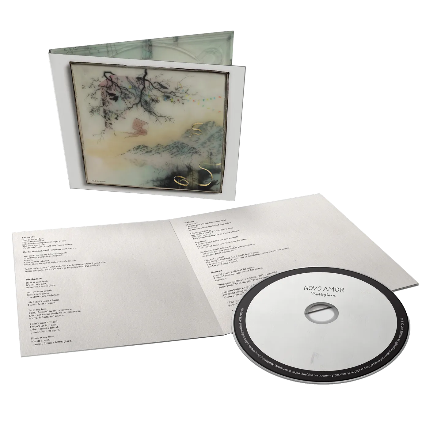 Novo Amor Birthplace (CD)