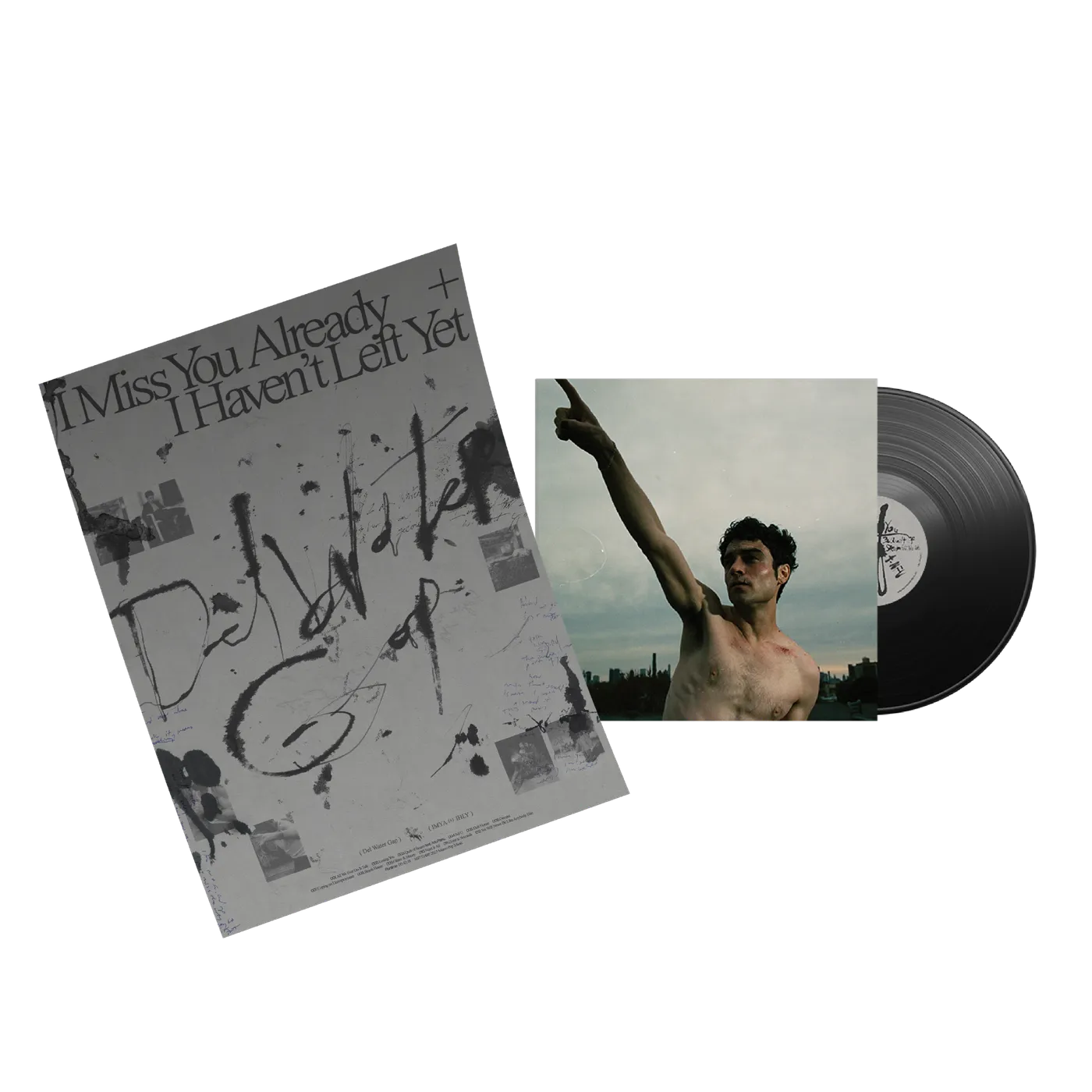 Del Water Gap PREORDER: LP + Poster [Exclusive + Signed]