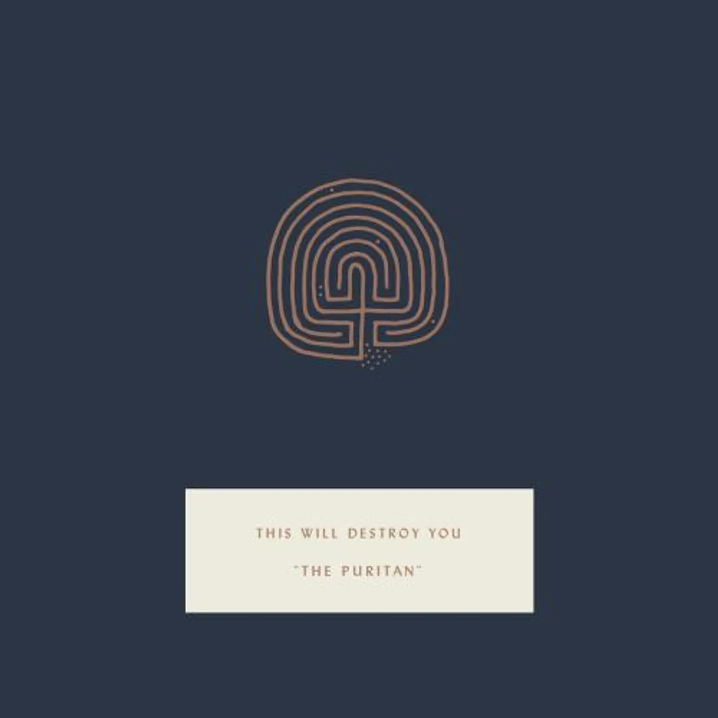 This Will Destroy You The Puritan (7")