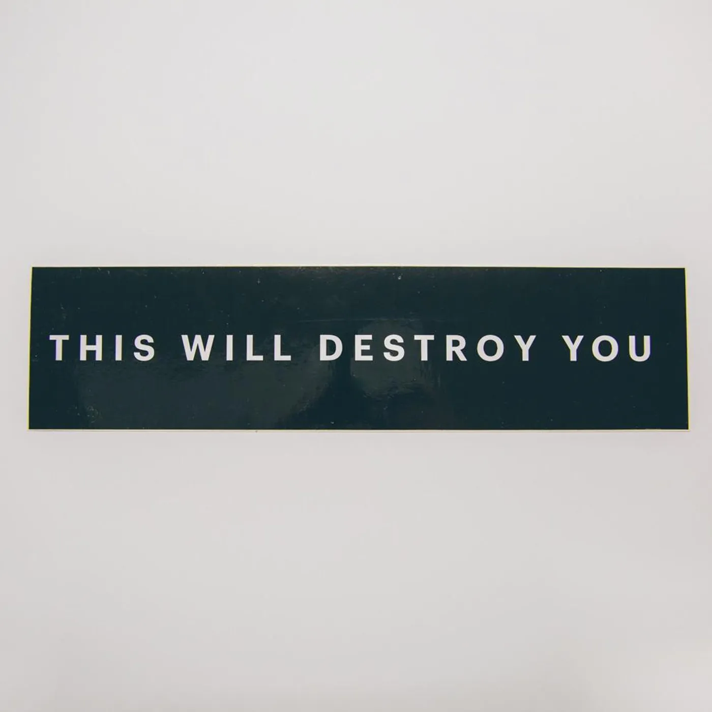 This Will Destroy You TWDY Bumper Sticker