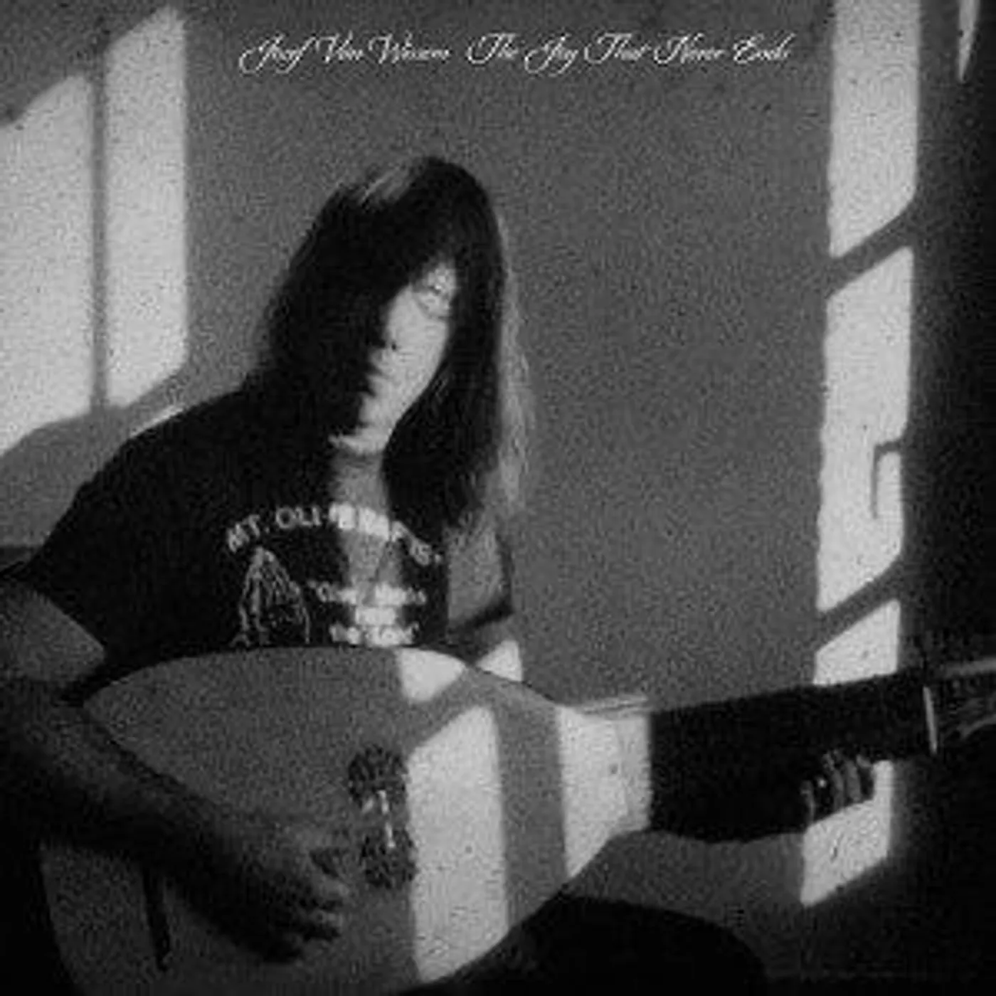 Van Wissem THE JOY THAT NEVER ENDS (12'' Vinyl)